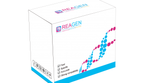 對(duì)蝦桿狀病毒（BP）DNA恒溫核酸檢測(cè)試劑盒（不含提?。? height='100'>
			</a>
		</figure>
		<h4 class=